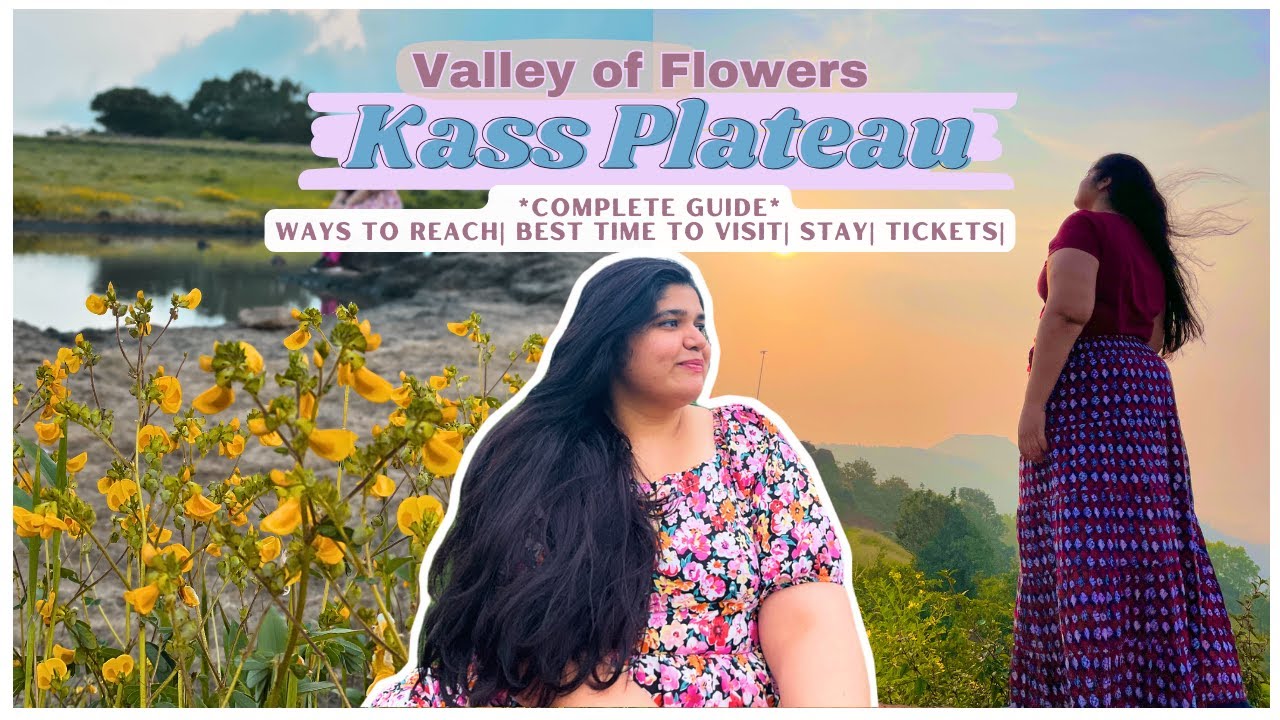 🌸 Complete Guide to Kaas Plateau 2025|| Maharashtra's Valley of Flowers 🌸 Kaas Pathar