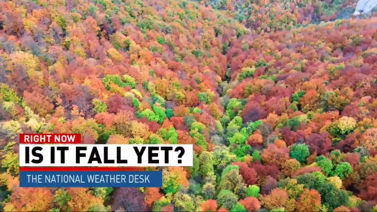 What is the deal with #MeteorologicalFall? We explain.