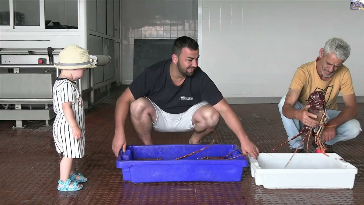 TRANEIRA SAO MATEUS ABROTIAS E GORAZ 01 08 2024