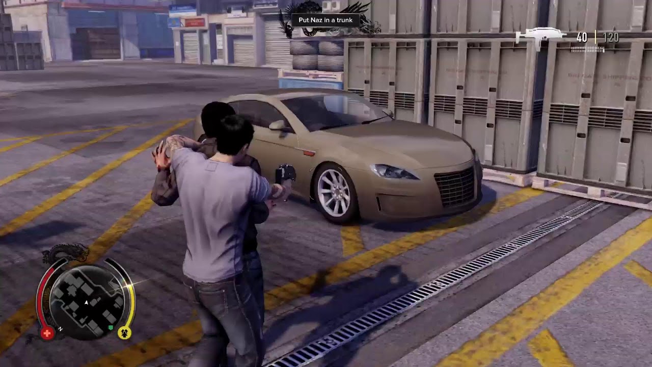Sleeping Dogs