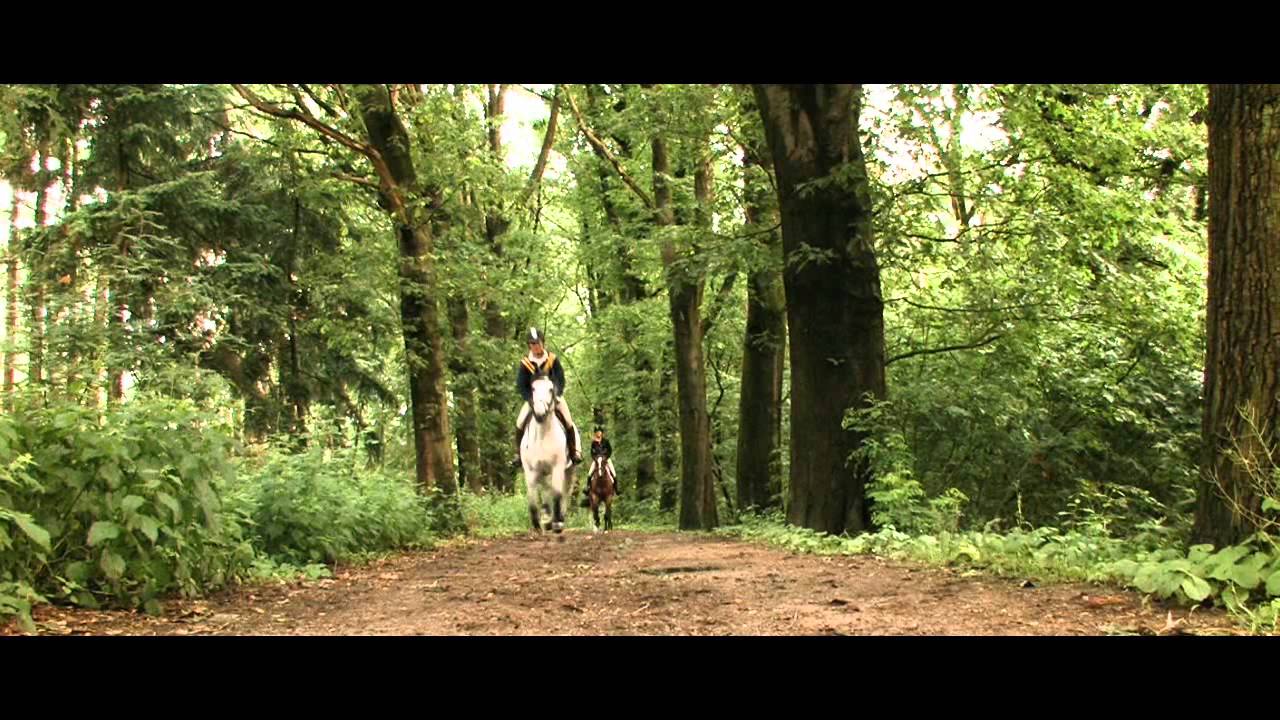 Promofilm Paardensportsector Limburg