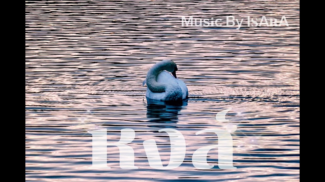 หงส์  / Music By ISARA