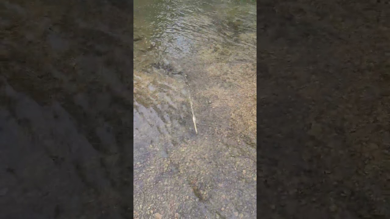 Found a old sword 🤩 