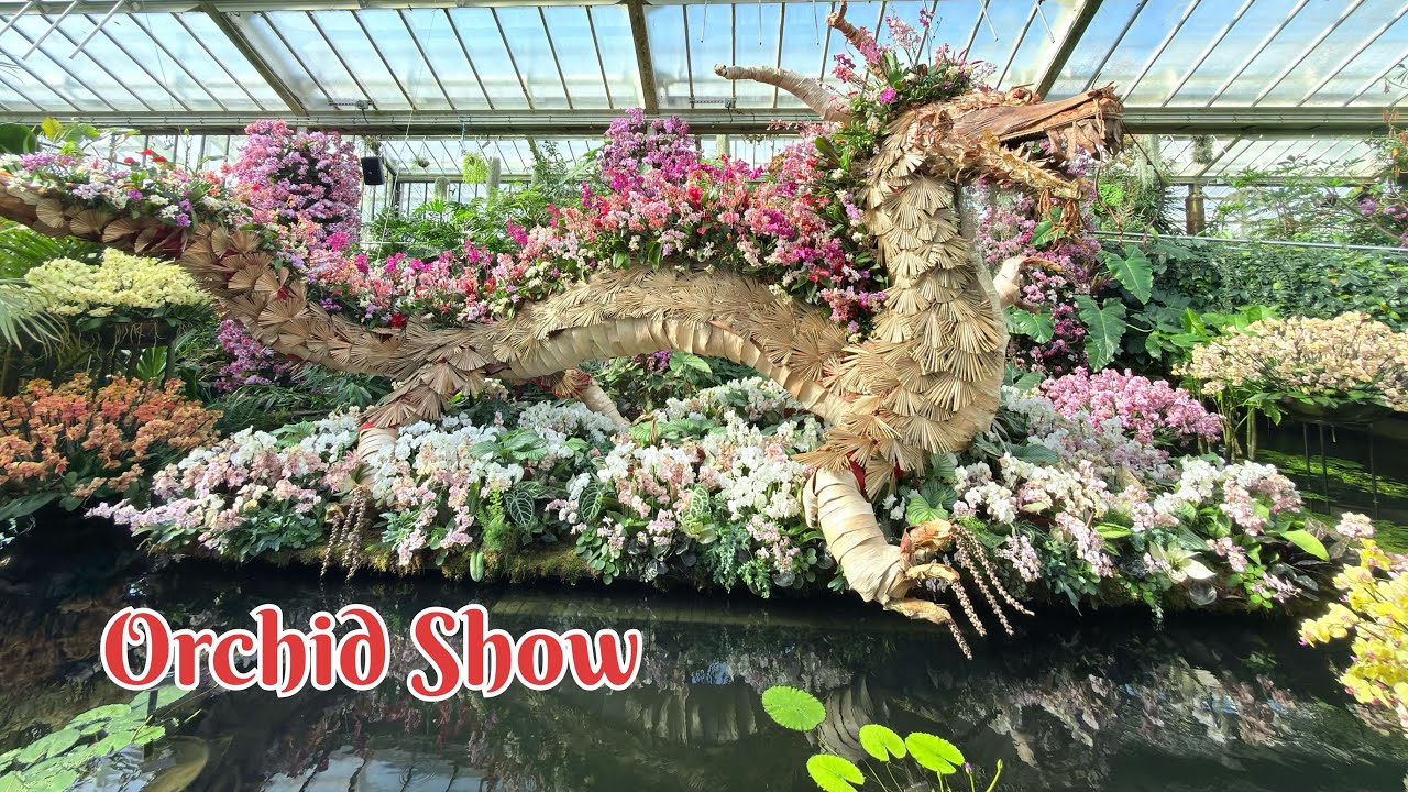Orchid Show !! Kew Garden | ASMR Video