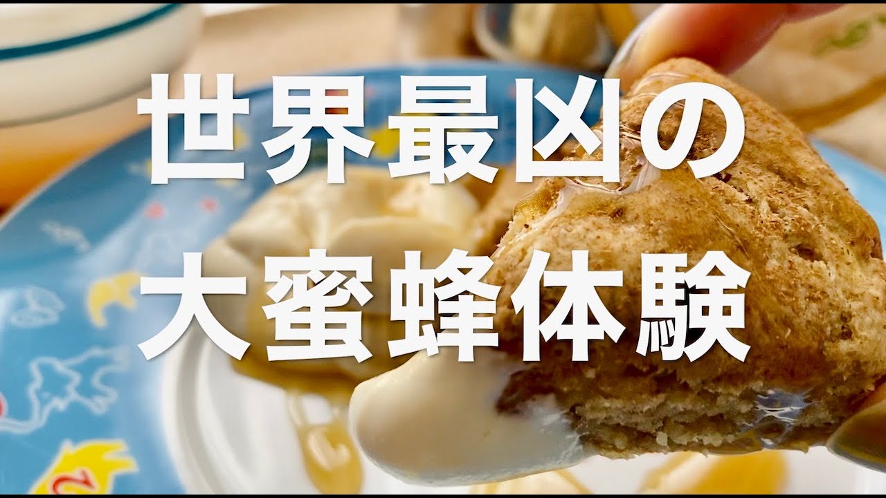 「豆乳クリーム＆オートミールバナナブレッド/世界最凶大蜜蜂の蜂蜜体験」COCCO CHANNEL