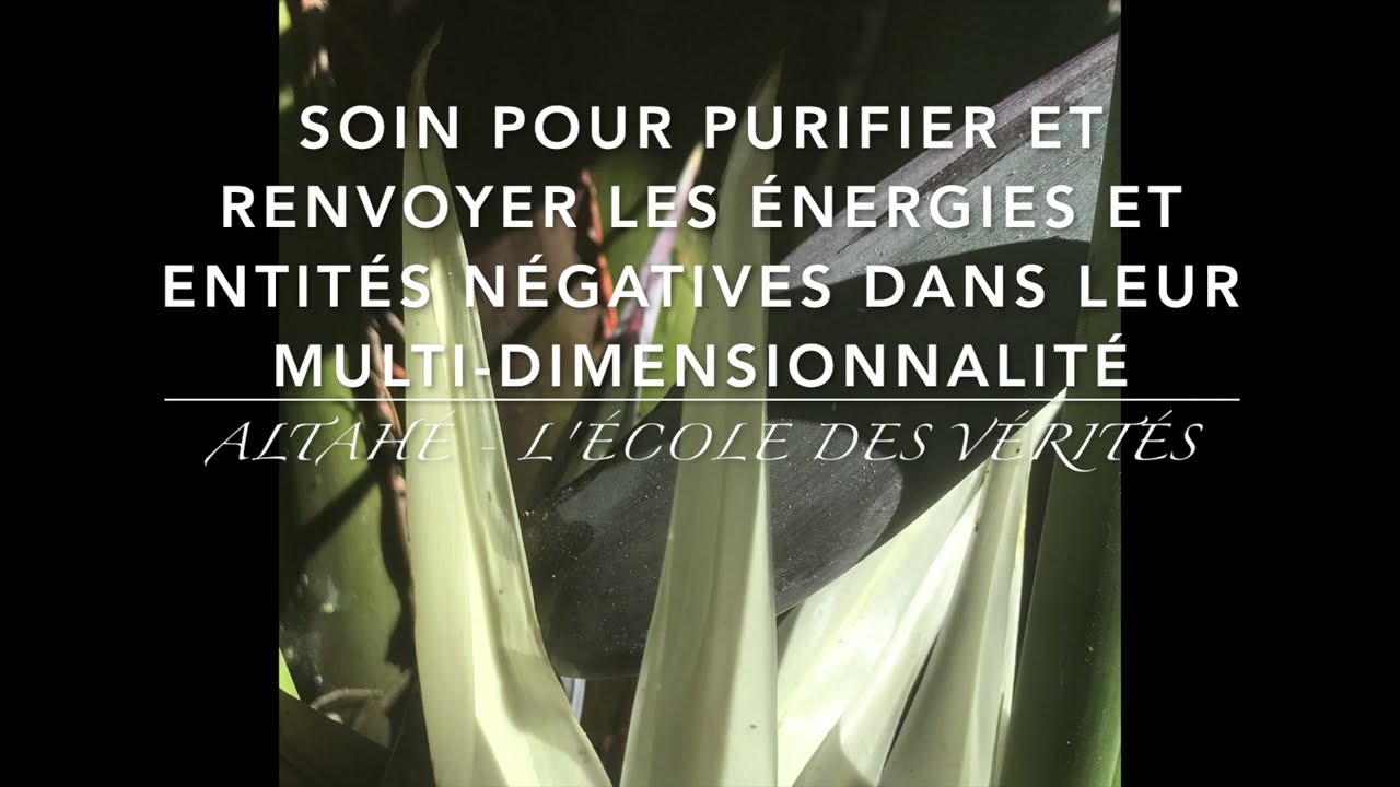 Soin de d&eacute;gagement des &eacute;nergies et entit&eacute;s n&eacute;gatives , implants, sorts et v&oelig;ux 🧞&zwj;♂️