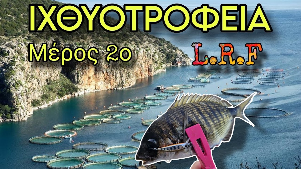 Πήγαμε Για LRF Στα ΙΧΘΥΟΤΡΟΦΕΙΑ | Η Άλλη Όψη Τους✔️Ο Χρυσός Σαργός✔️