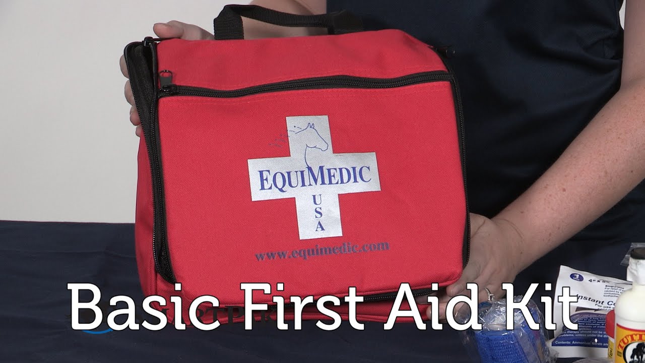 First Aid Kit - Basic Review