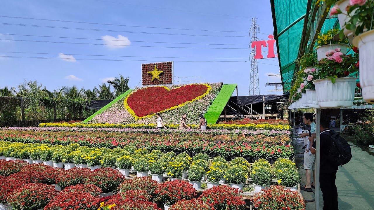 Tổ hợp tác Hoa kiểng Tân An hưởng ứng Festival Hoa Kiểng Sa Đéc lần thứ 2 năm 2025
