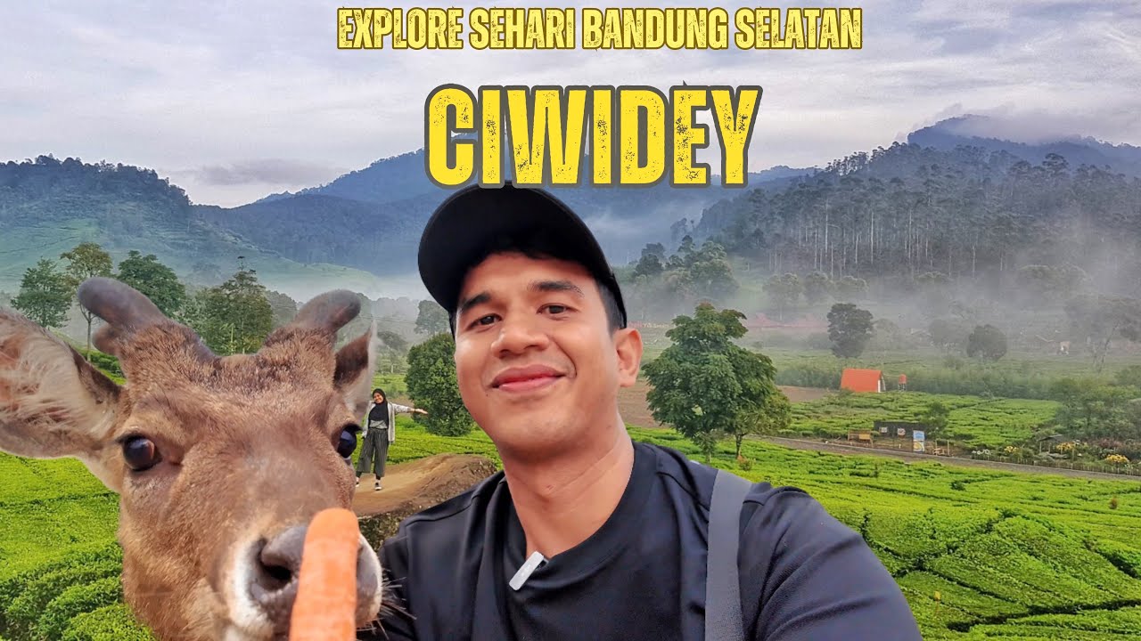 Explore Ciwidey Seharian ! Wisata Alam Bandung part 2 Situpatenggang - Ranca Upas - Rancabali 