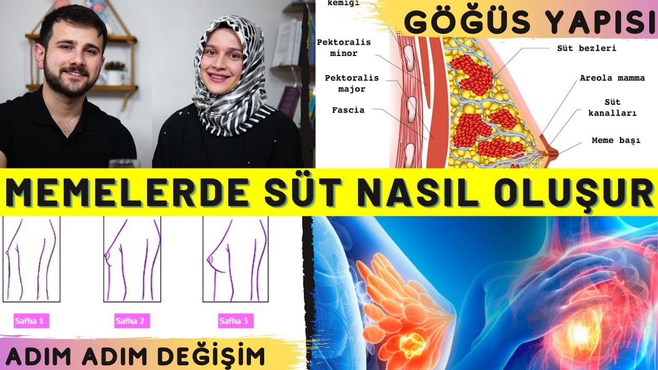 MEMELERDE SÜT NASIL OLUŞUR? (KADINLARDA GÖĞÜS YAPISI) w/ @rabiasahin