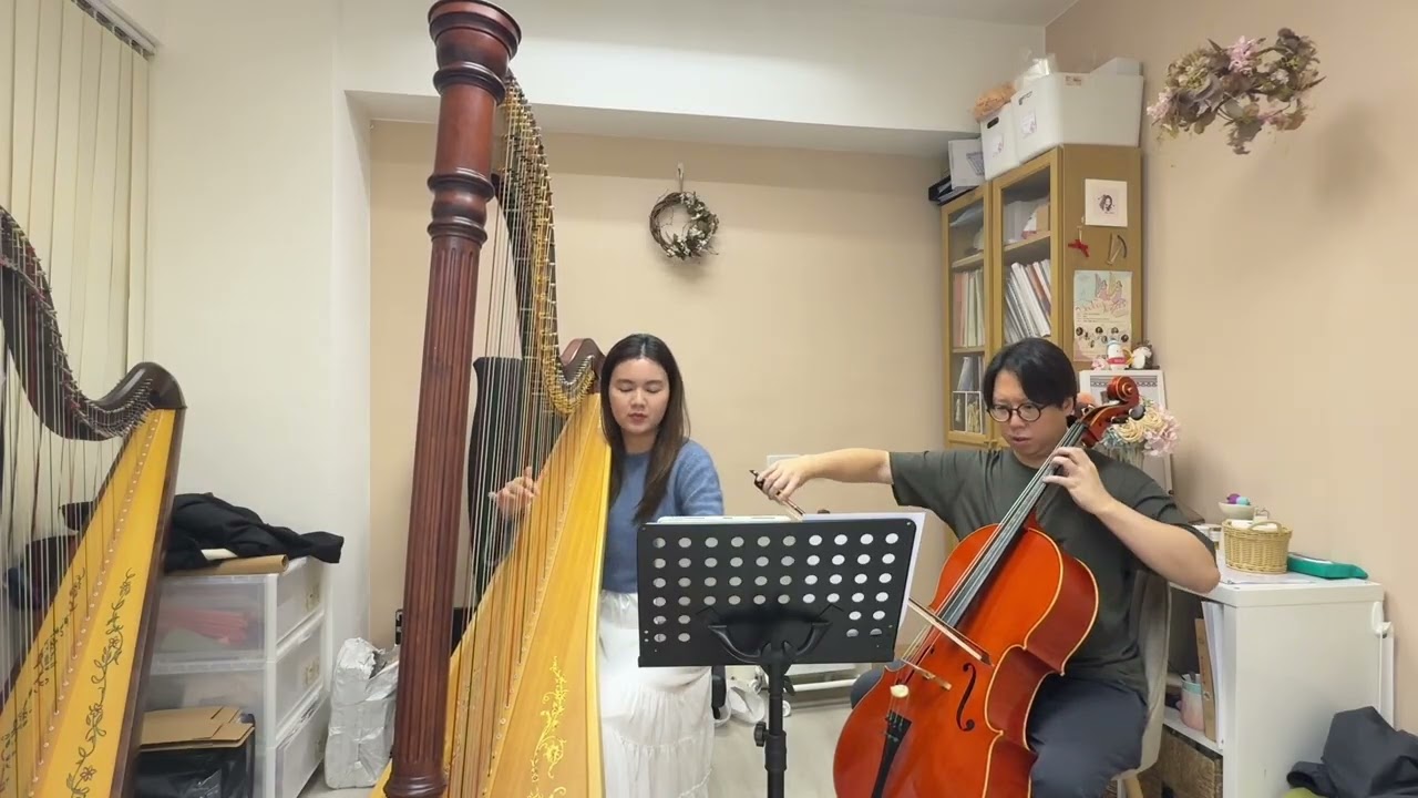 A Thousand Years - Harp & Cello Cover