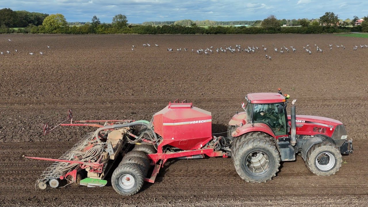 CASE MAGNUM 310 mit HORSCH PRONTO 6KE Drille / 4K