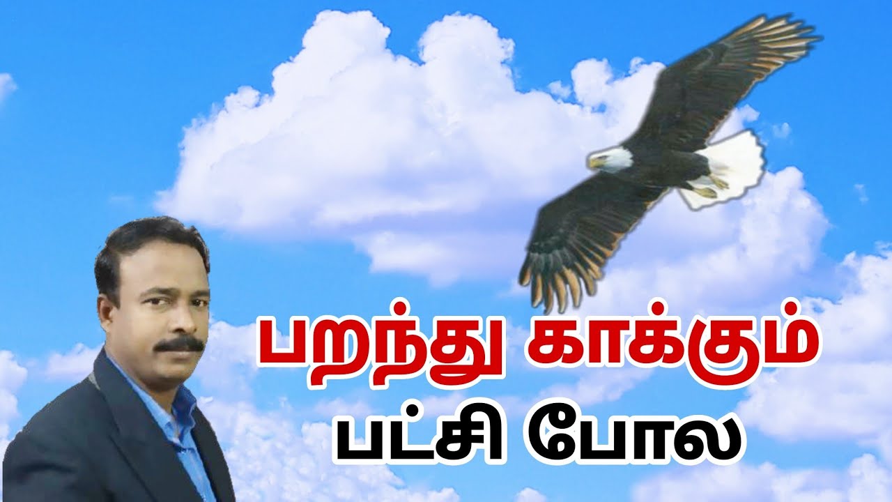 பறந்து காக்கும் பட்சிபோல | John Bosco. K