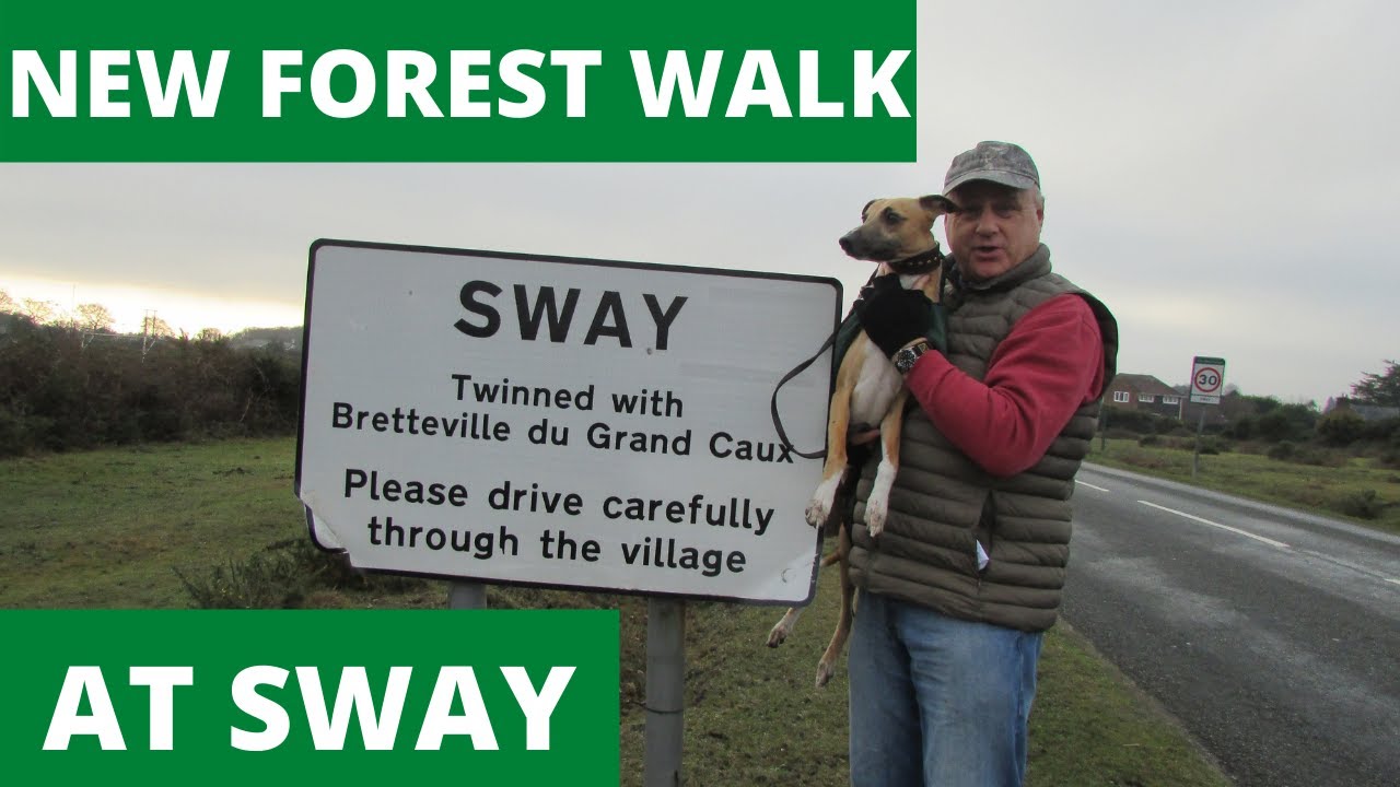 NEW FOREST WALK AT SWAY (NEW FOREST NATIONAL PARK)