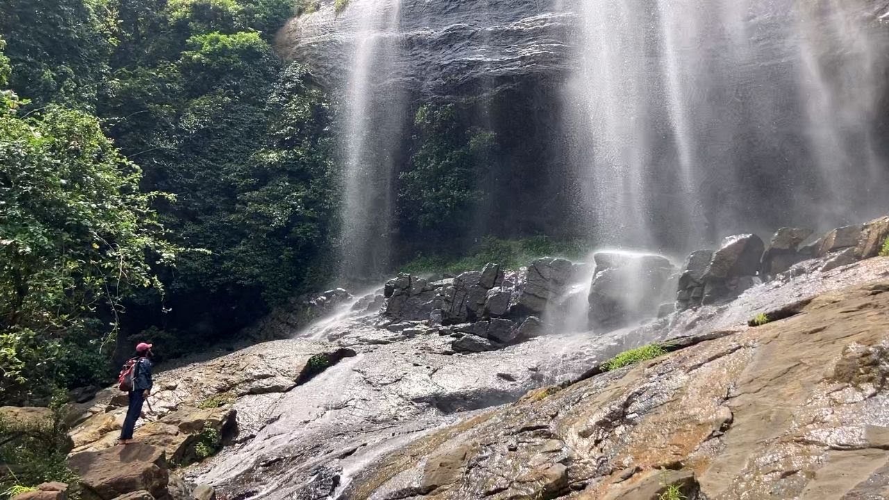 Mouthwatering sausage fried rice near a stunning waterfall | Radical Kitchen | Cooking in the wild