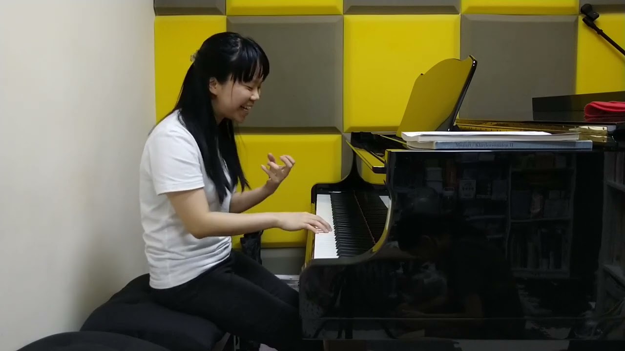 Schumann Piano Concerto 1st Movement Explanation on Piano II