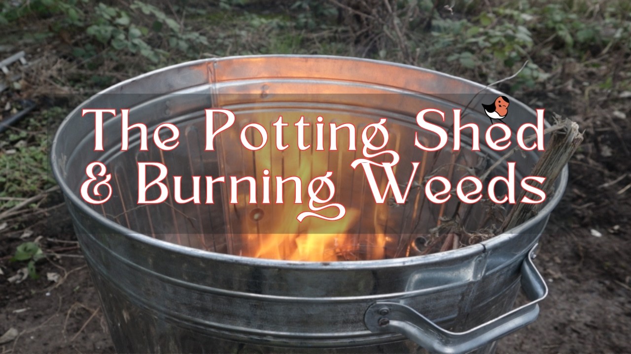 Renovating my Potting Shed and Burning Weeds - Allotment Diaries 10 #allotmentlife #allotmentdiary
