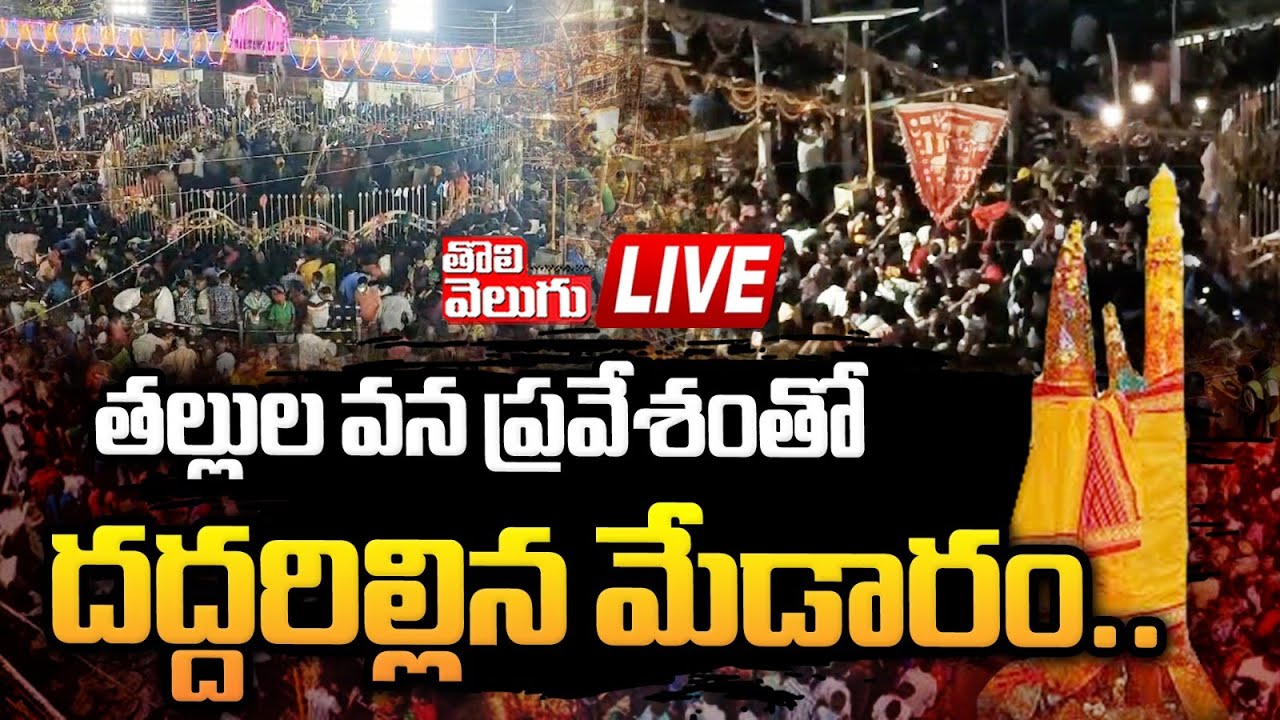 LIVE : తల్లుల వన ప్రవేశంతో దద్దరిల్లిన మేడారం..| Sammakka Sarakka Jathara | Tolivelugu TV