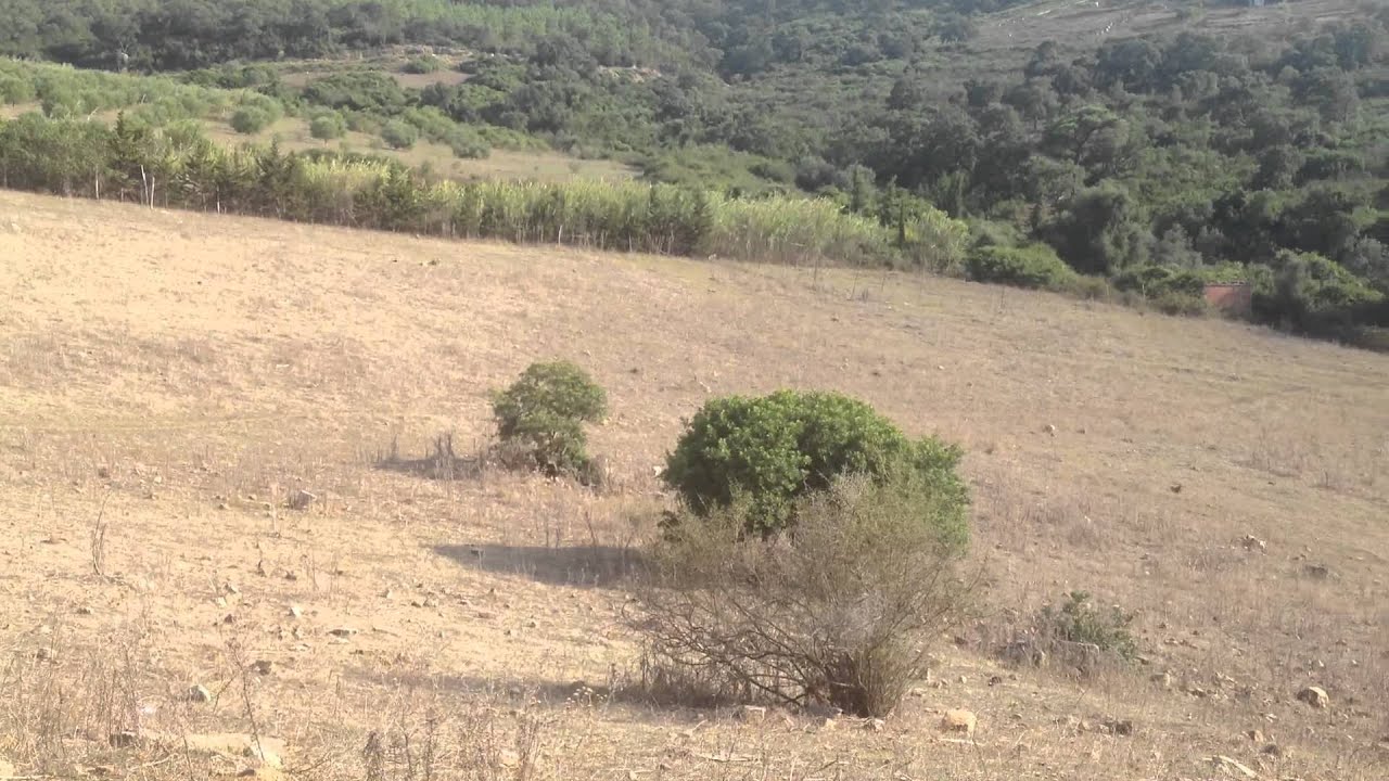 lot de terrain 1