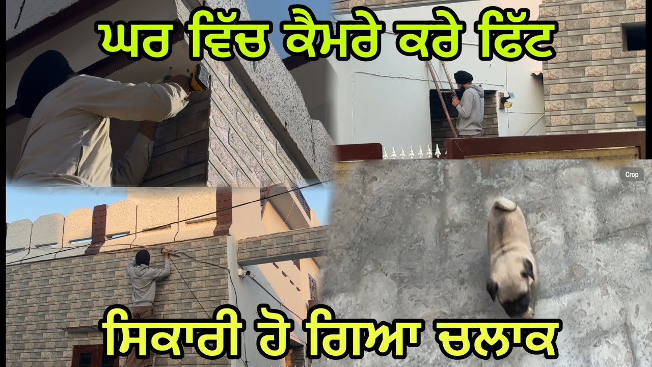 ਘਰ ਦੇ ਕੈਮਰਿਆਂ ਦੀ ਕੀਤੀ ਫਿਟਿੰਗ ਅੱਜ ਆਪੇ//ਸਿਕਾਰੀ ਹੁੰਦਾ ਜਾਂਦਾ ਦਿਨ ਪਰ ਦਿਨ ਤੇਜ@jagatmasad 