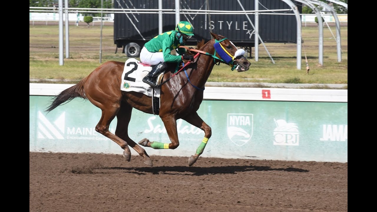 Watch All Finishes – Sunday, Junhe 29, 2025