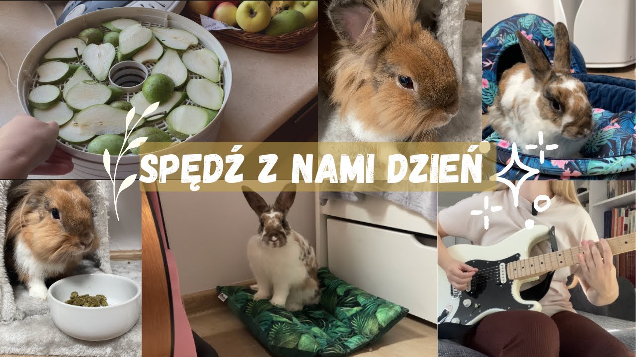 SPĘDŹ DZIEŃ RAZEM Z NAMI🐰💛