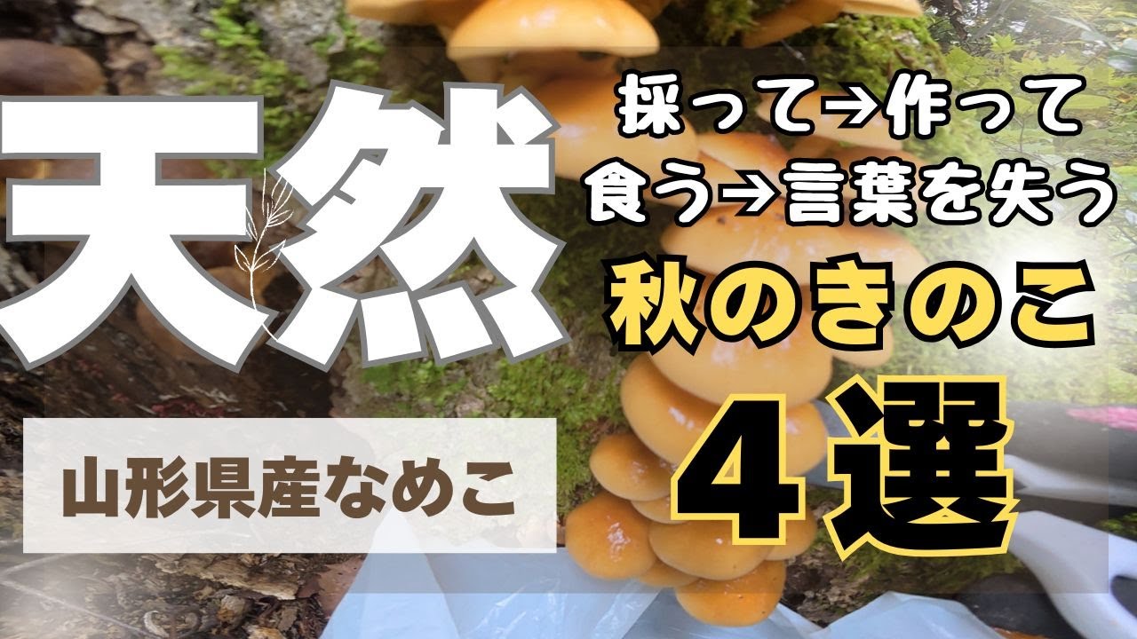 ナラタケ・なめこ・クリタケ・ムキタケ！秋のキノコで作るラーメンが激ヤバでした！