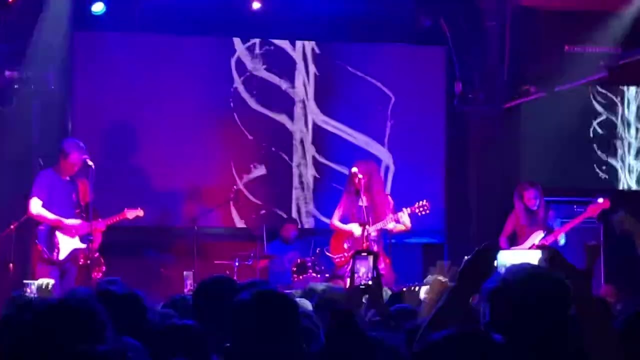 Las Ligas Menores - Mabuse (Los Punsetes Cover) (Concierto en Help! Lima 02 Diciembre 2022)