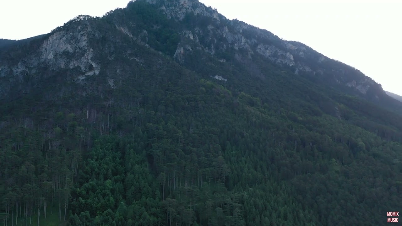 DROHNENVIDEO   Hirschwang Raxgebiet
