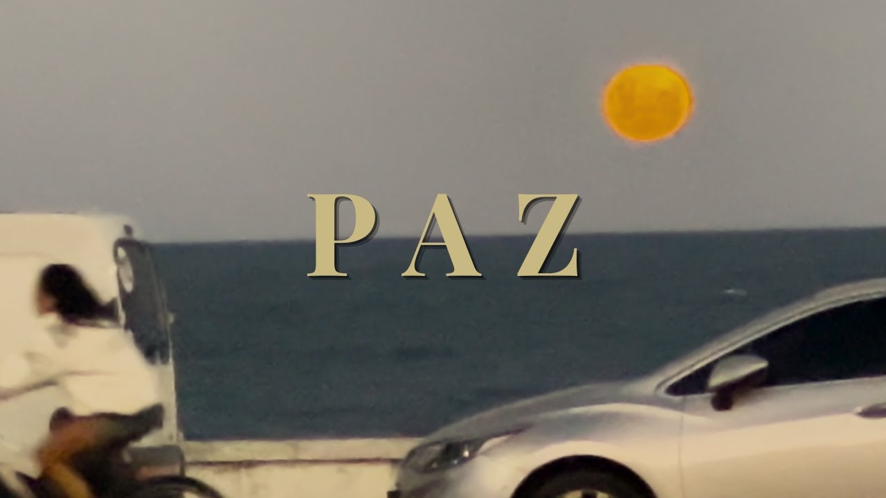 Ian Punter - Paz (Visualizer)