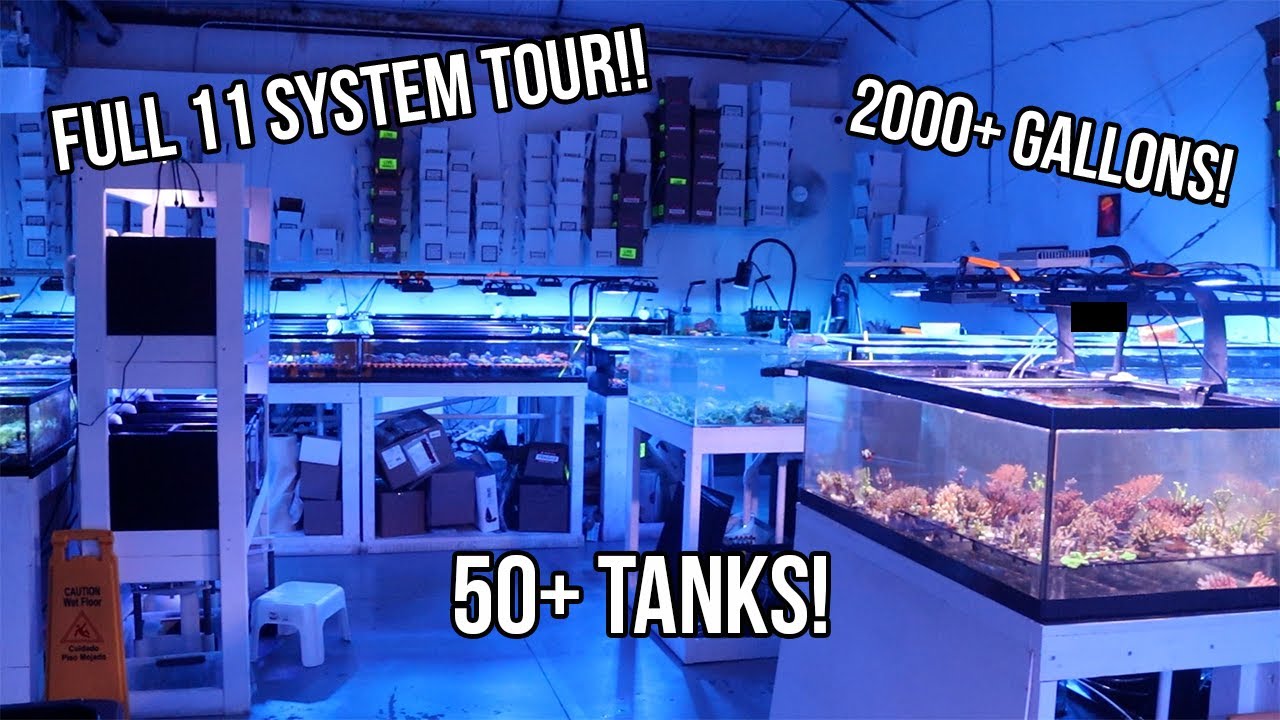 The Queen City Corals 2024 Store Tour!