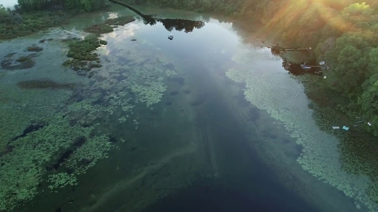 Chain o lakes weed problem 9/16/2018 drone video Healthy Waters Alliance