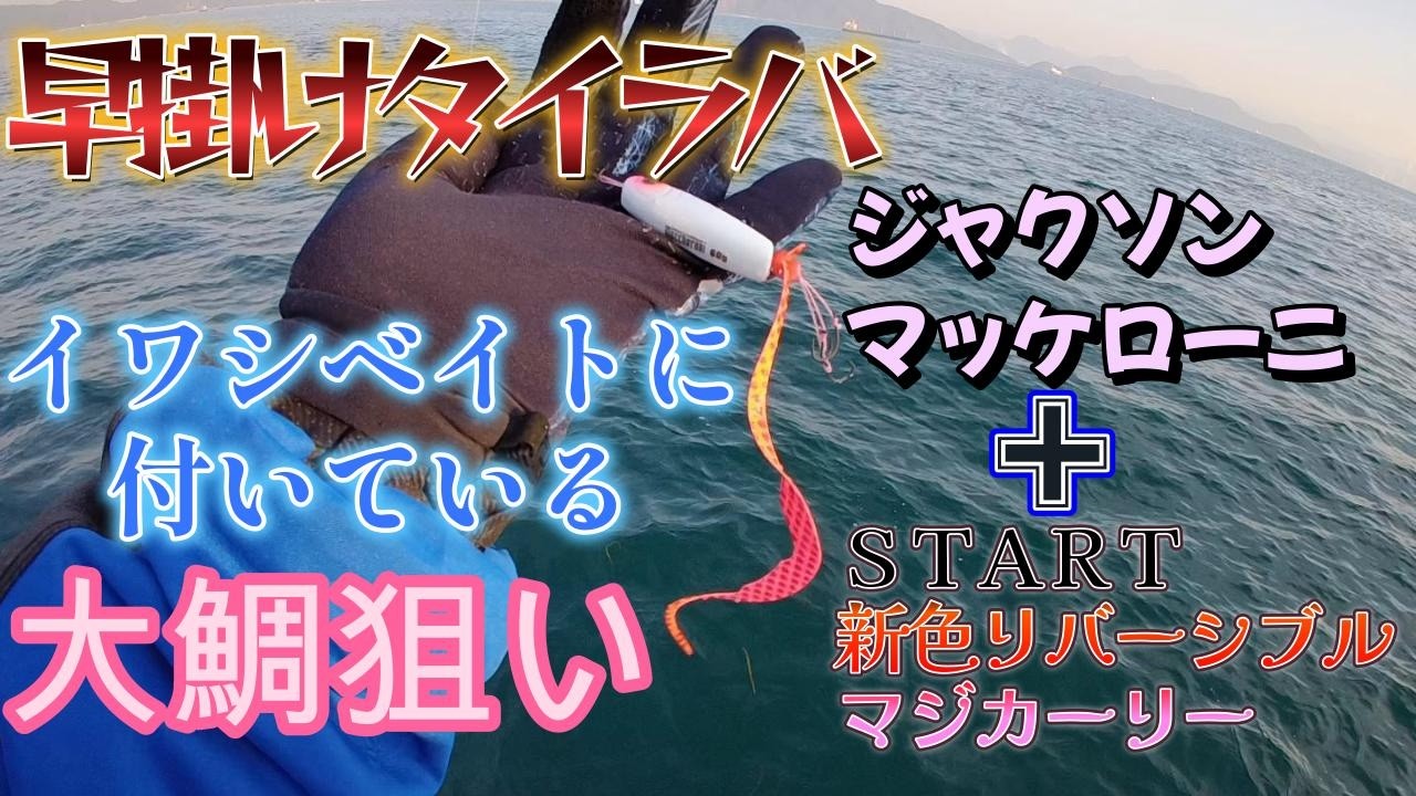 【早掛けタイラバ】マッケローニでイワシ付きの大鯛狙い！ＳＴＡＲＴ新色リバーシブルマジカーリー!!ゴーマル連発！ロクマル!!そしてナナマル!!!