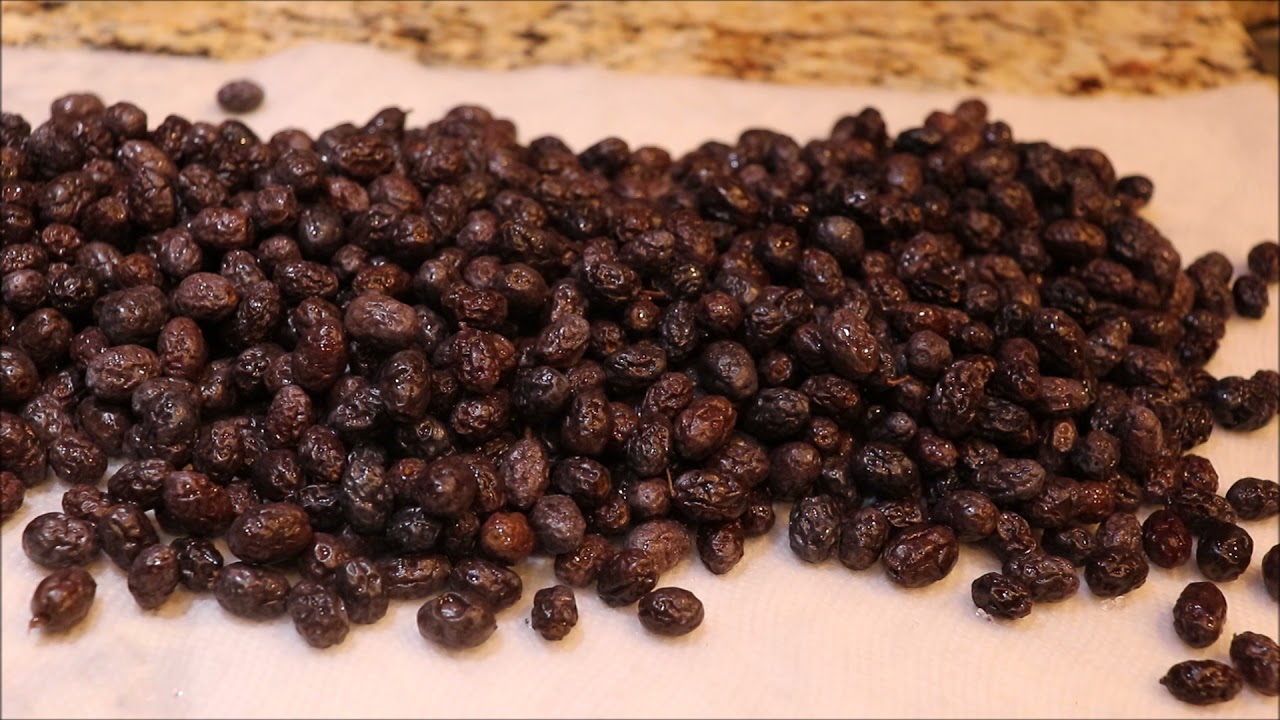 Preserving Arbequina Black Olives - Part 2 of 2