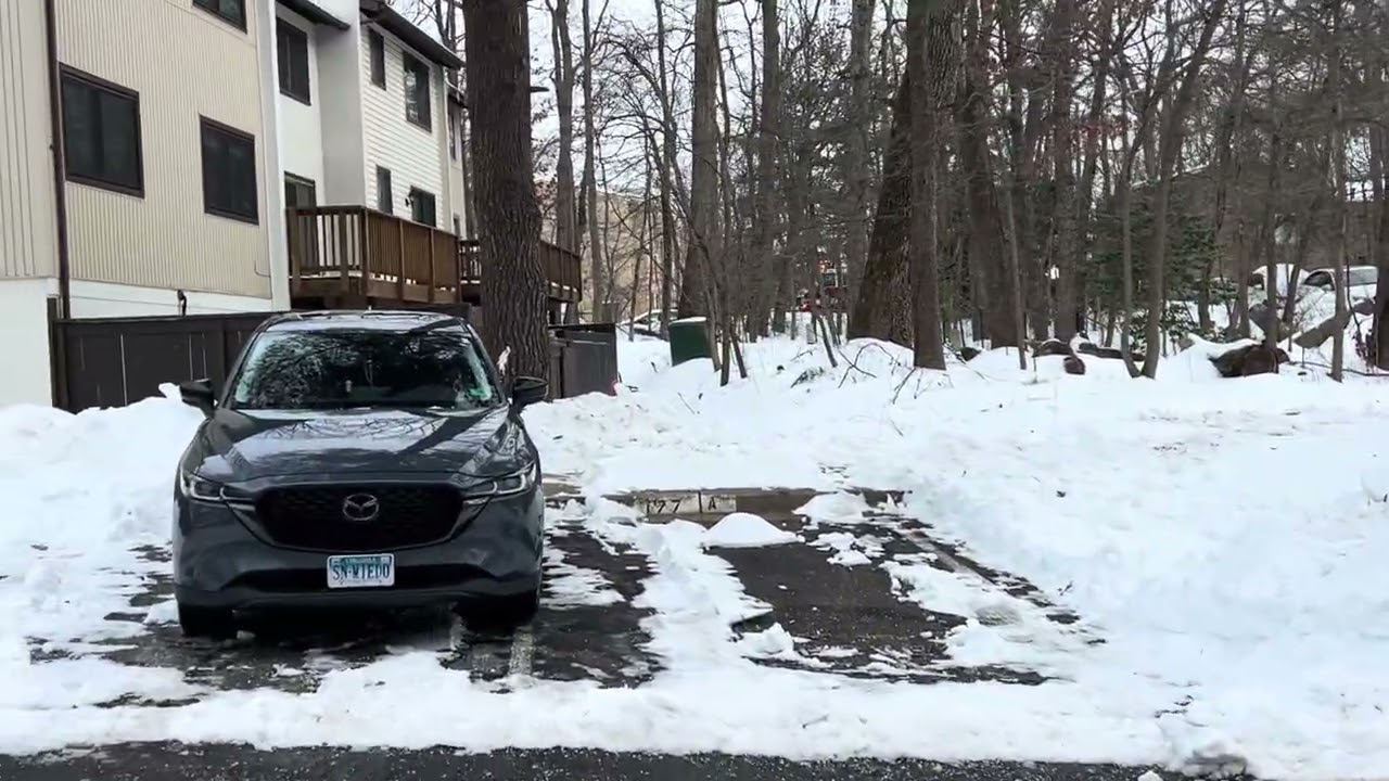 Fire department accident - Pyrenees court - Reston, VA