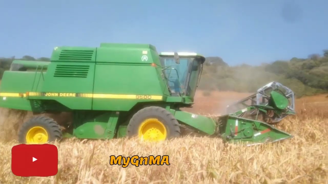 Así se cultiva el sorgo Tlacotepec Morelos - MyGnMA (El mundo)