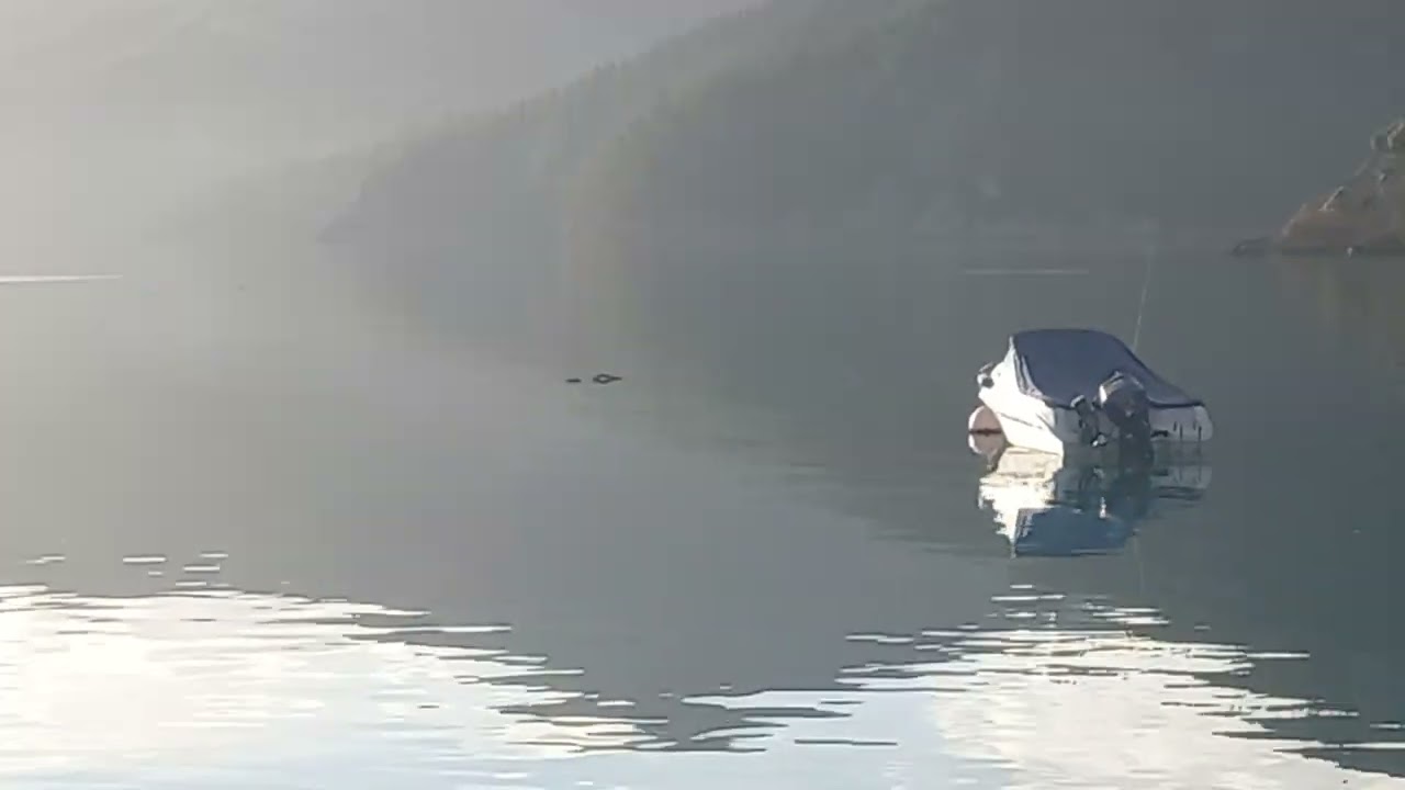 Kerrybleau marlborough sounds 14 love the peace and quite