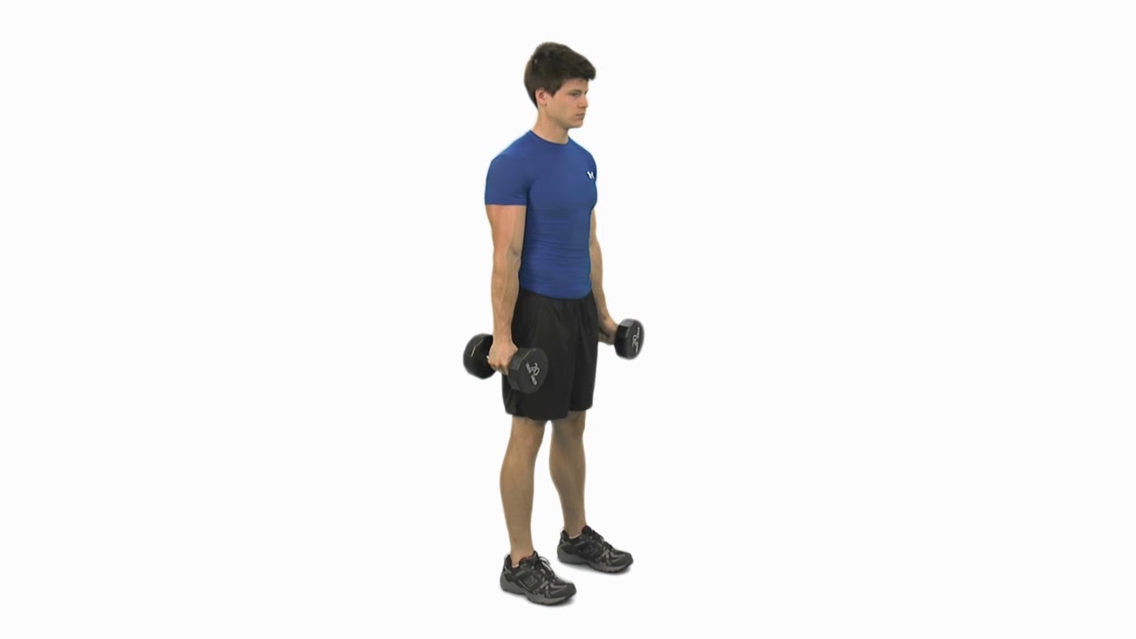 How to do a Dumbbell Hammer Curl