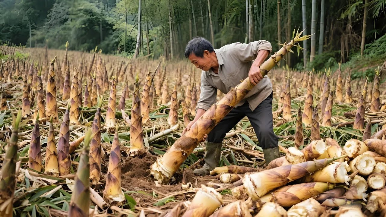 After digging, big drum bumps and cracks appear. Must trace the whip. #agriculture