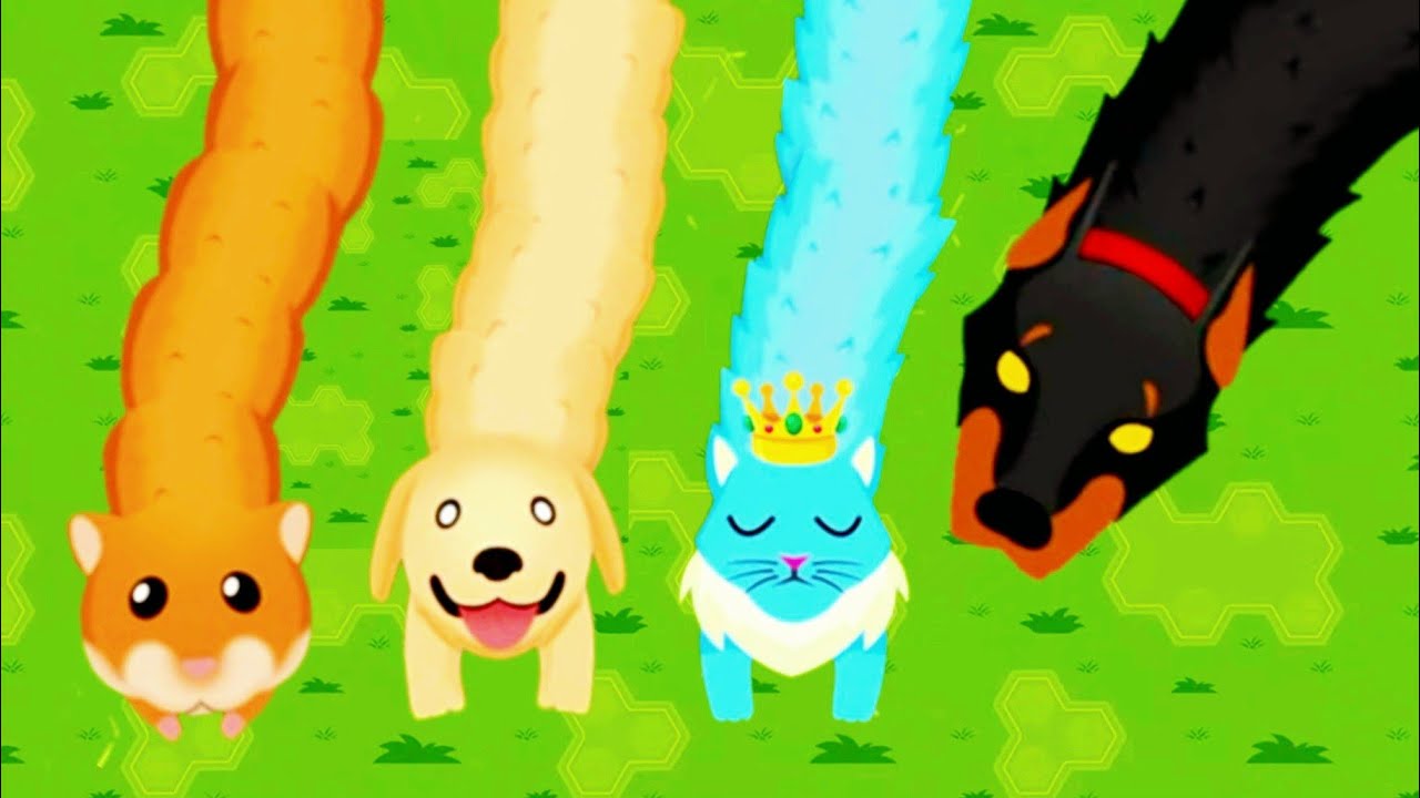 Snake.io HOW TO UNLOCK ALL 4 Racing Pets Event SKINS | Watch Dog
