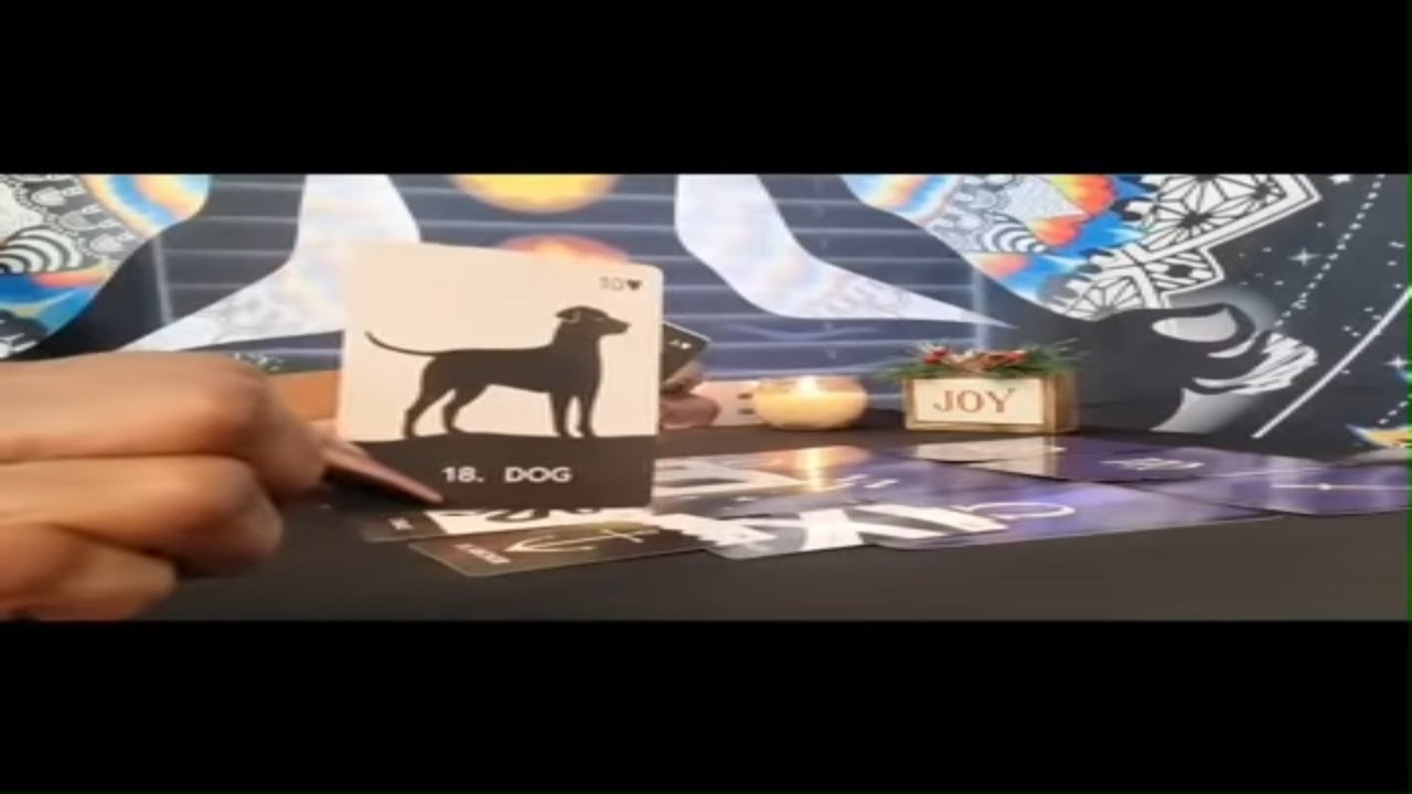 EVERY DOG HAS THEIR DAY & DM IS GETTING HIS! 🐕🐕‍🦺🐩🐶