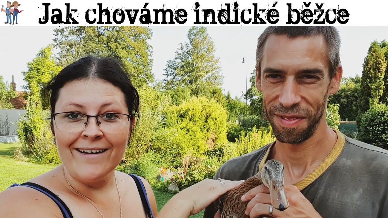 🦆 Náš chov indických běžců