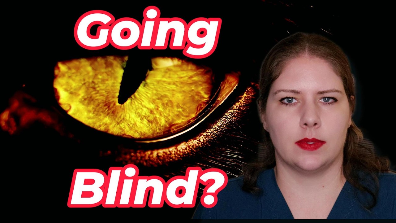 Is Your Pet at Risk of Glaucoma? | Vet's Voice