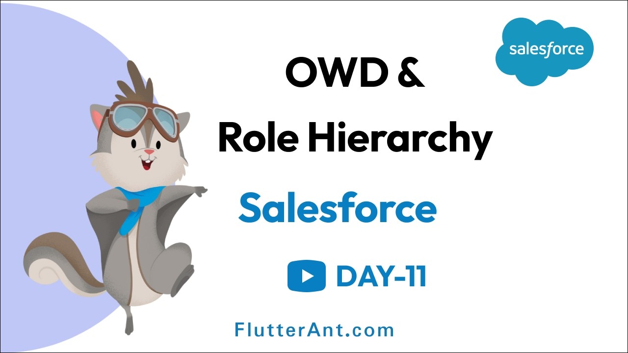 Day 11 - OWD and Role Hierarchy in Salesforce | Security Model Explained with Examples