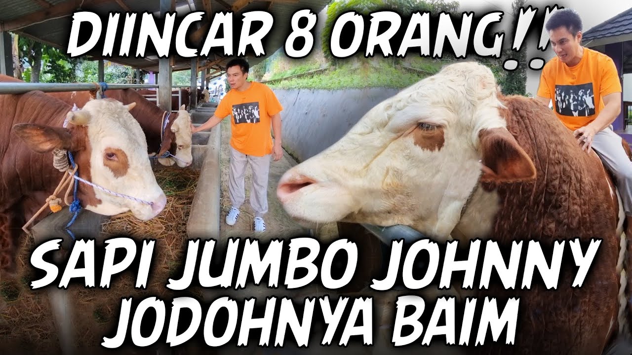 JOHNNY SAPI JUMBO SANG PRIMADONA DITAKSIR BANYAK ORANG, JADI JODOHNYA BAIM..