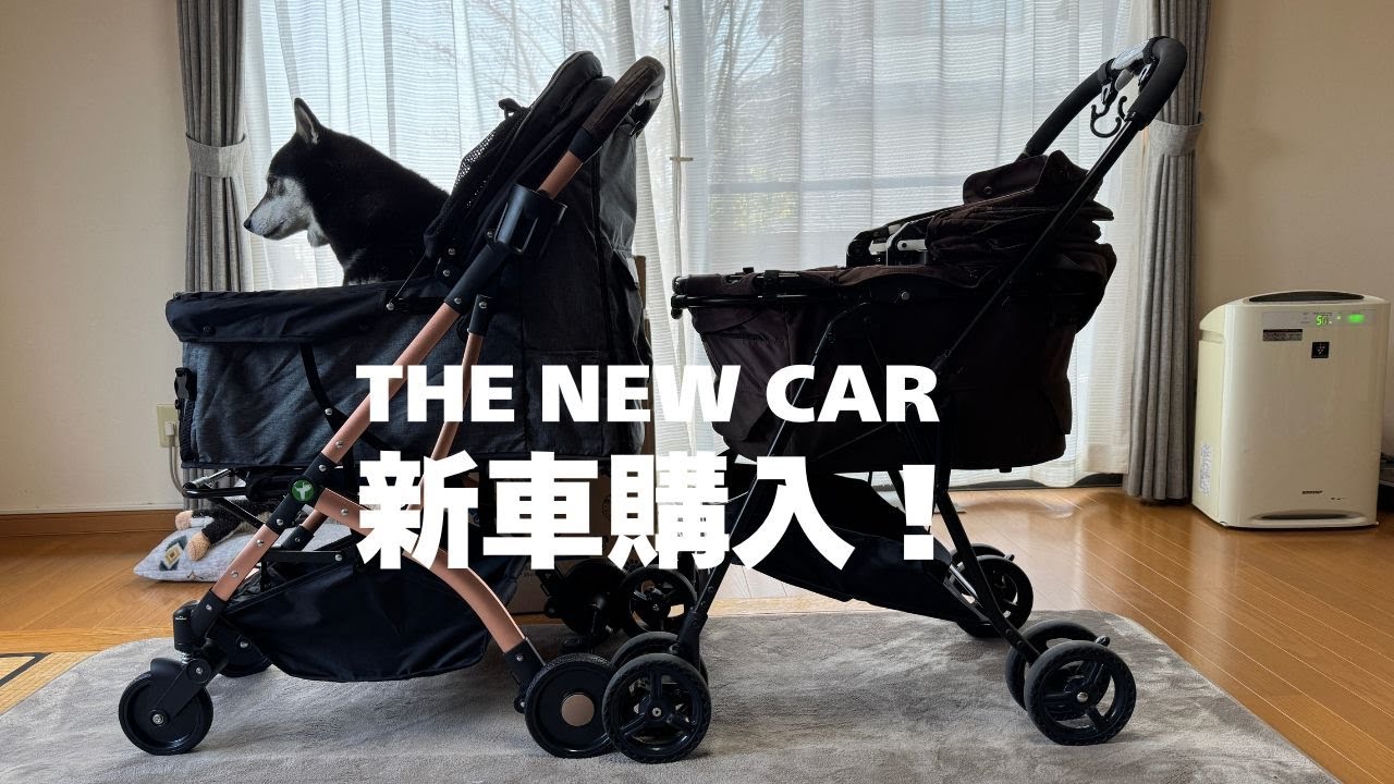 超コンパクトに折り畳めるペットカート購入！１３キロの柴犬も余裕ですww