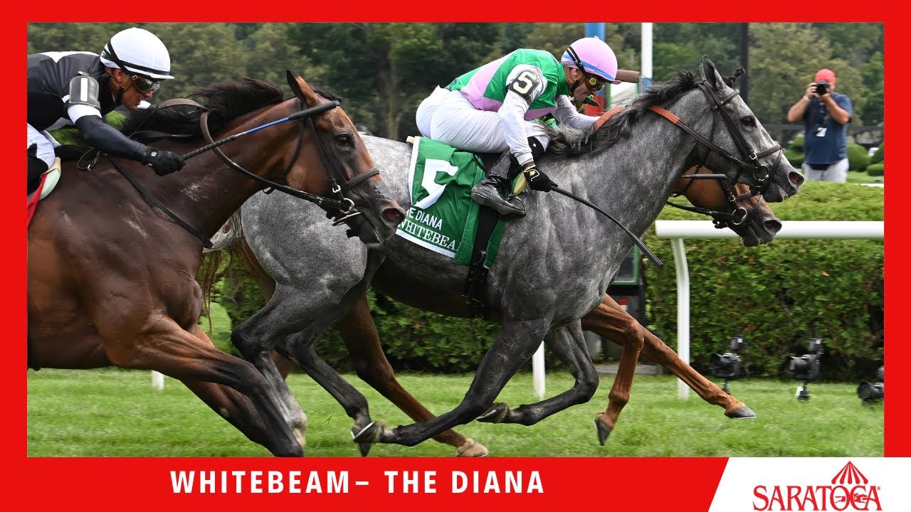 Whitebeam - 2023 - The Diana