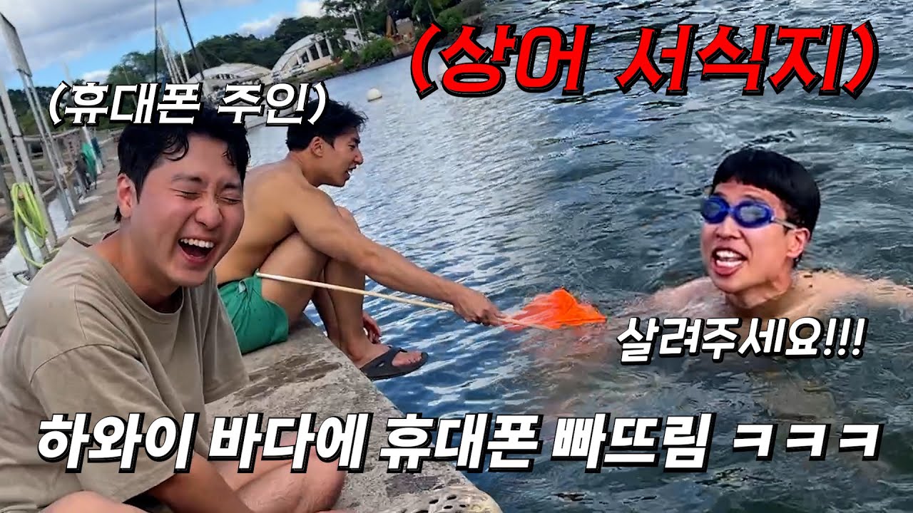 상어가 우글거리는 바다에 빠뜨린 휴대폰 구출 대작전 ㅋㅋㅋㅋㅋㅋㅋㅋㅋㅋㅋ