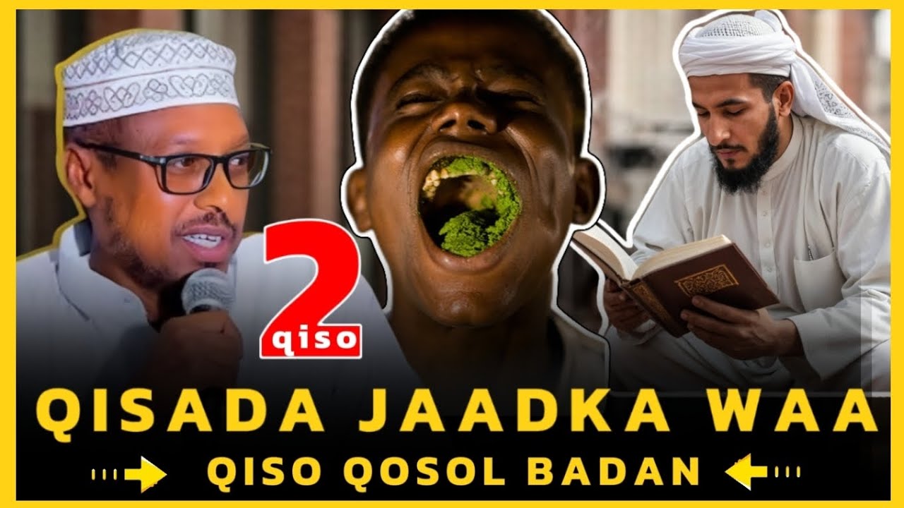 QISO QOSOL BADAN🤣 OO KU SAABSAN QAYILAAD || SHEIKH MUSTAFE HAAJI ‎⁨@wacyimedia24⁩ QISADA UGU QOSOL 